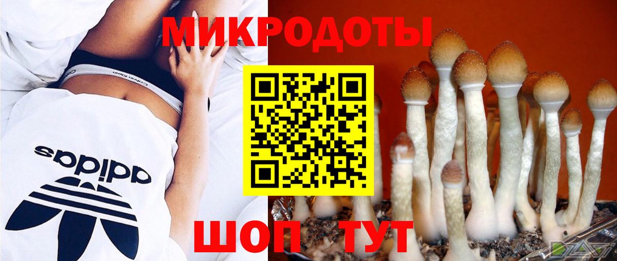 Галлюциногенные грибы GOLDEN TEACHER Ступино