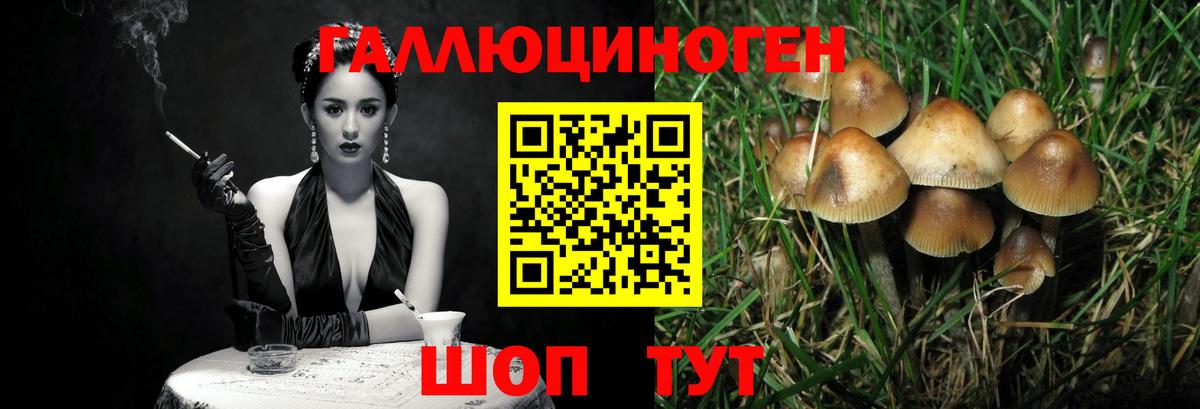 Ступино  Галлюциногенные грибы ЛСД  Вход с VPN  Галлюциногенные грибы ЛСД 